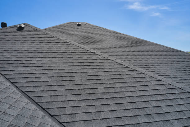 Best Roof Moss and Algae Removal  in Port Allegany, PA